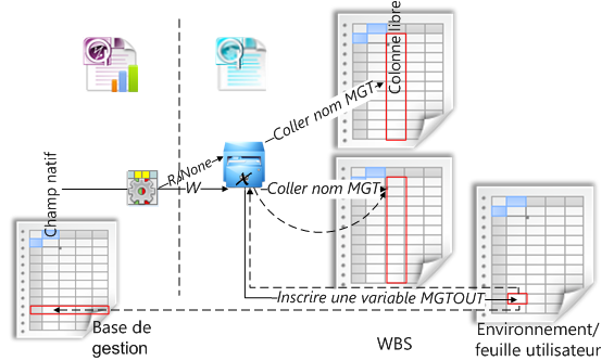 ovh & management